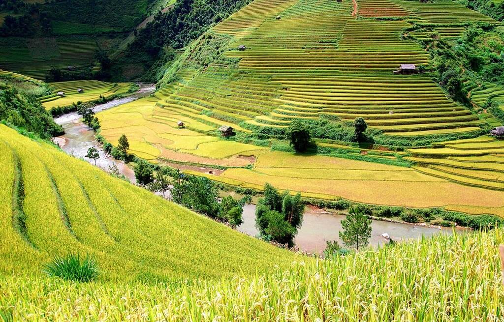 Mu Cang Chai during the flood season