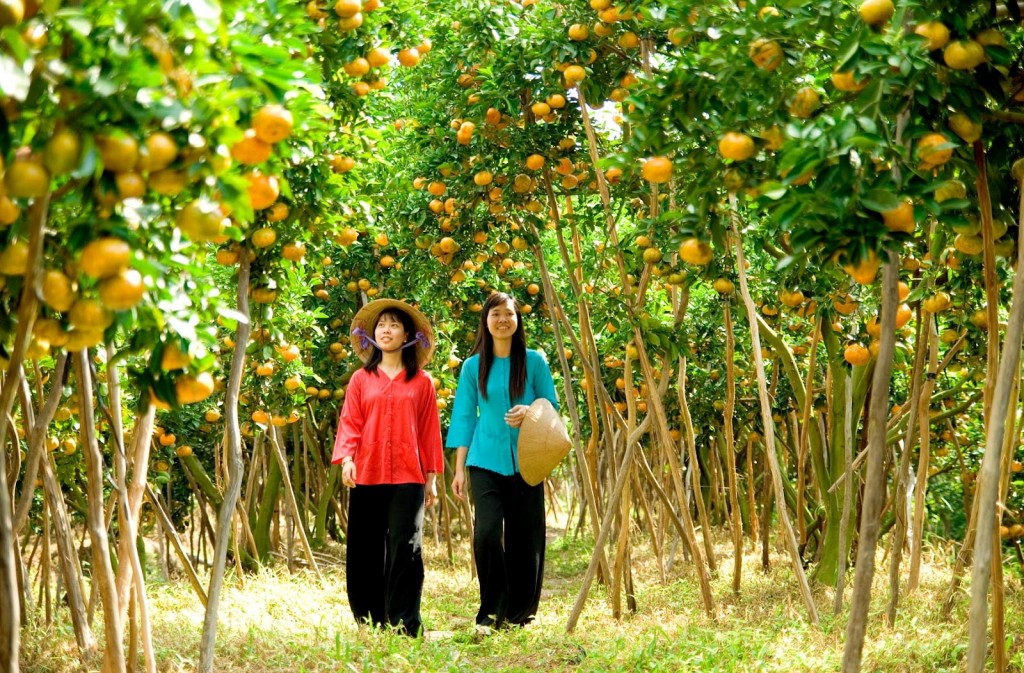 Southern Vietnam Tours