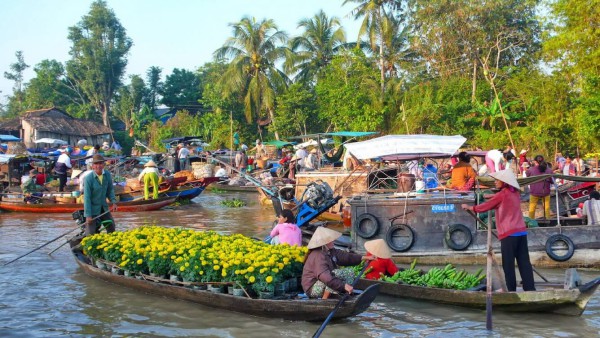 Ảnh tour Vịnh Hạ Long