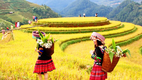 Ảnh tour Vịnh Hạ Long