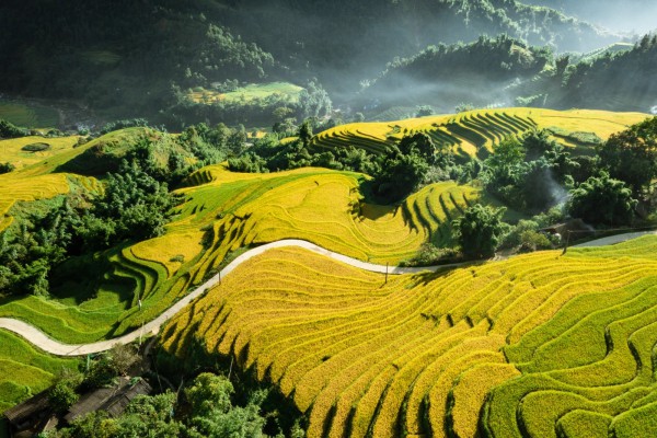 HANOI - SAPA FANSIPAN 3 DAYS 2 NIGHTS BY BUS 
