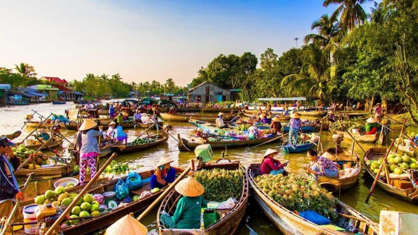 Ảnh tour Vịnh Hạ Long
