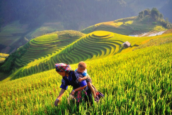 Ảnh tour Vịnh Hạ Long