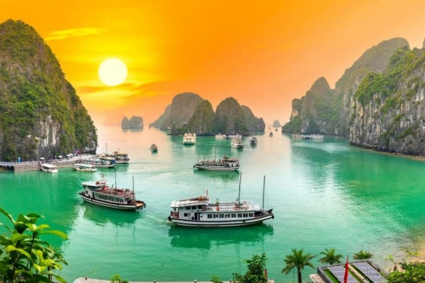 Ảnh tour Vịnh Hạ Long