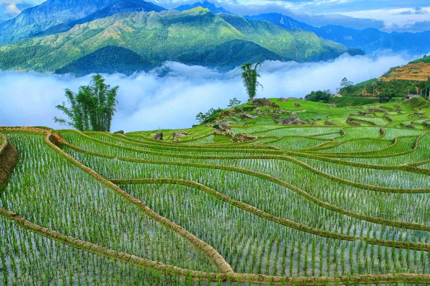 TOUR DISCOVERY CAT CAT AND SIN CHAI VILLAGES FULLDAY DEPARTS FROM HA NOI 