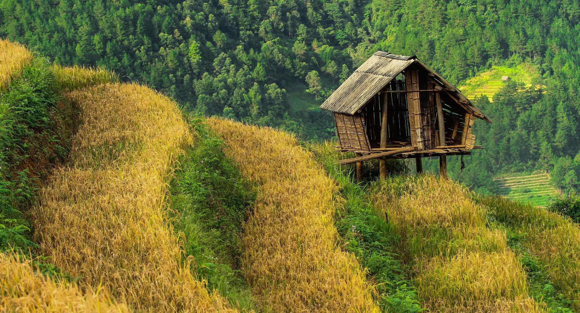 HANOI - SAPA FANSIPAN 3 DAYS 2 NIGHTS BY BUS 
