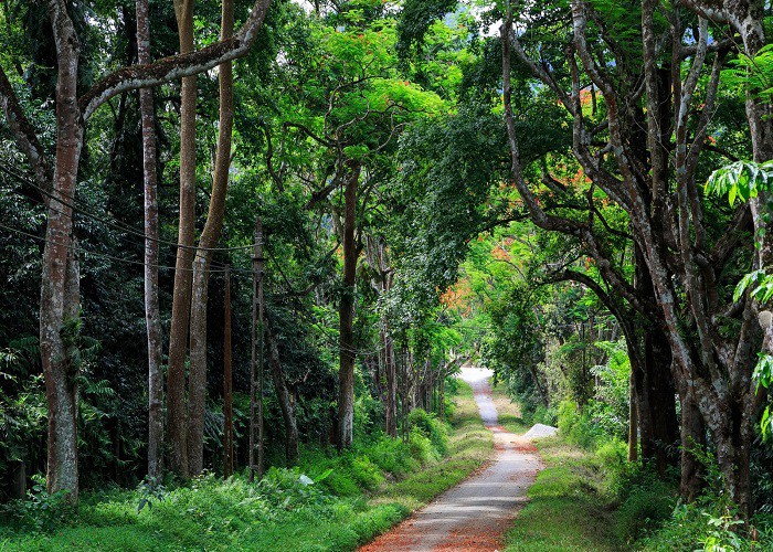 TRANG AN – CUC PHUONG NATIONAL PARK TOUR 2 DAYS 1 NIGHT 